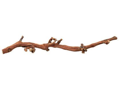 Trixie Přírodní dekorace do terária, větev z vinné révy L 45-70 cm