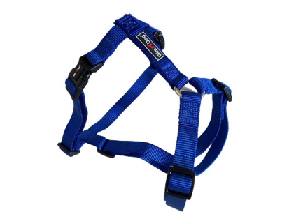 Postroj Gimborn Nylon H 3,8 x 80-110 cm modrý