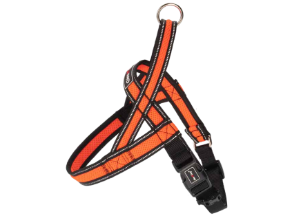 Postroj Gimborn Mesh Y 1,5 x 42 45 - 55 cm oranžový