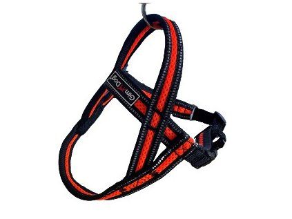 Postroj Gimborn Mesh Y 3,2 x 75 80-100cm oranžový