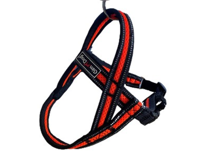 Postroj Gimborn Mesh Y 3,2 x 75 80-100cm oranžový