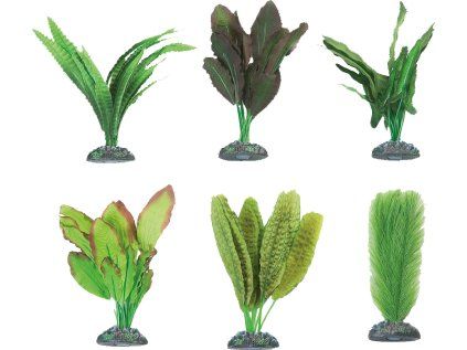 Flamingo akvarijní rostliny mix CONGO L