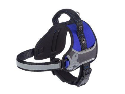 Postroj FERPLAST HERCULES HARNESS BLUE S