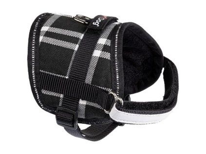 Postroj Gimborn Pixie Scot S 1,5x31-40 cm černý