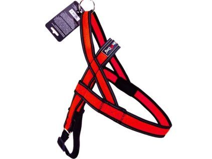 Postroj Gimborn Mesh Y 1,5x40 40-45 cm červený