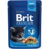 Kapsička Brit Cat Premium Pouches kuřecí kousky pro koťata 100g