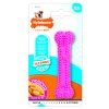 Hračka Nylabone Puppy Teething Dental Chew růžová XS