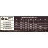 Wellness Core Puppy Large Breed Original kuře 2,75 kg