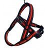 Postroj Gimborn Mesh Y 1,5 x 42 45 - 55 cm oranžový