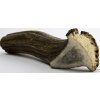 Chew Chew jelení paroh obrovský 180 - 230 g