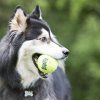 KONG Airdog hračka tenisový míč M 3 ks
