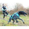 I-Dog ALM Phoneix postroj, modrý XL