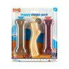 Nylabone hračka Puppy kost příchuť kuřecí, slanina+javor.sirup, hovězí M 3ks